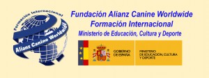 ministerio2015-001
