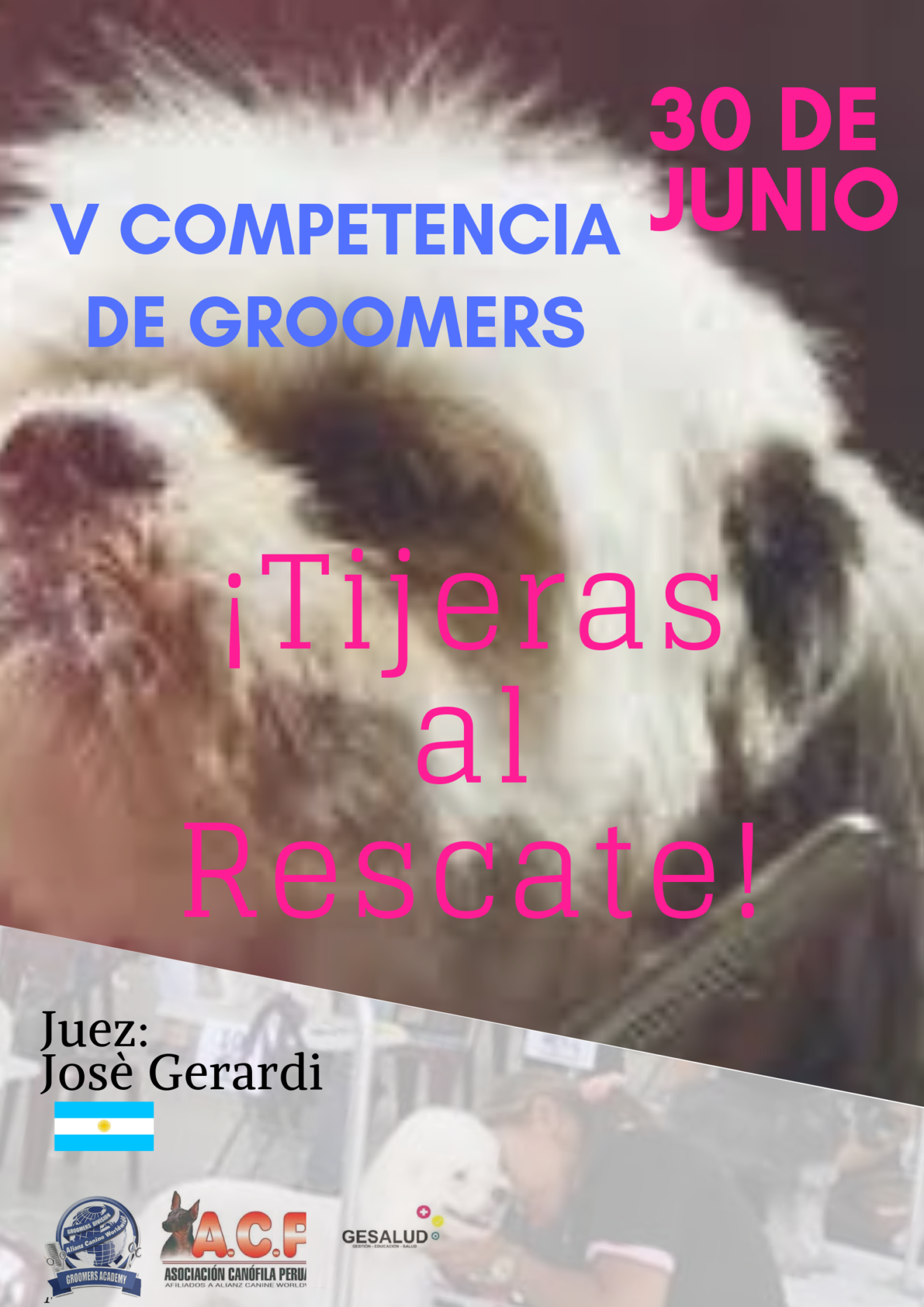 Competición de groomers Alianz Perú TIJERAS AL RESCATE 2019 Alianz