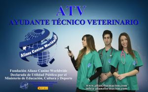 ATV Alianz