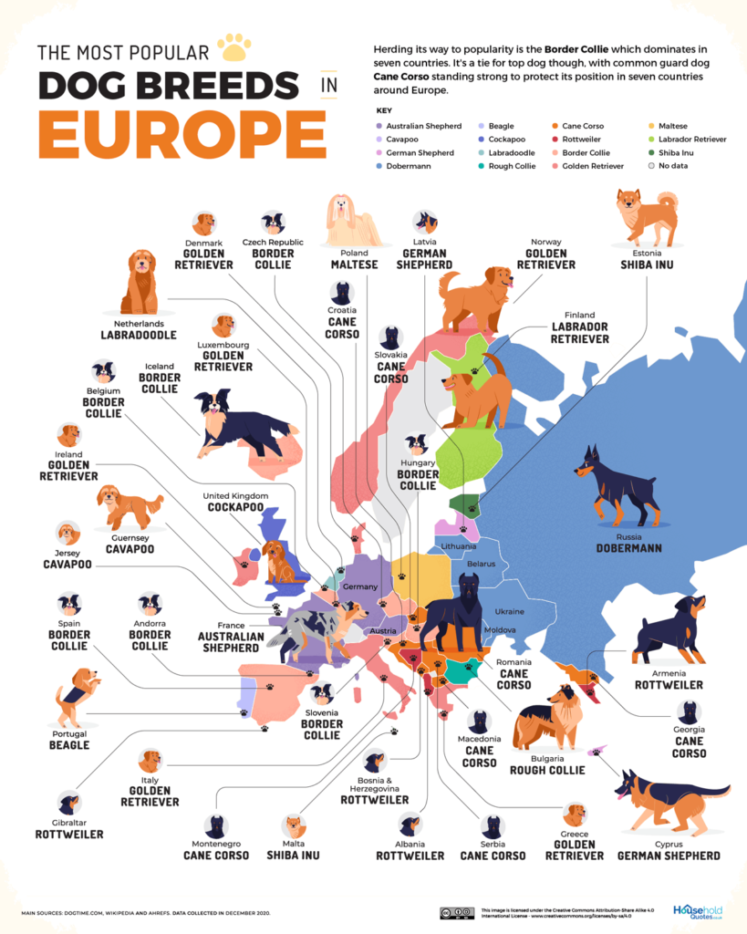 razas de perros europa