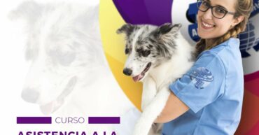 asistencia a la atención clínica en centros veterinarios