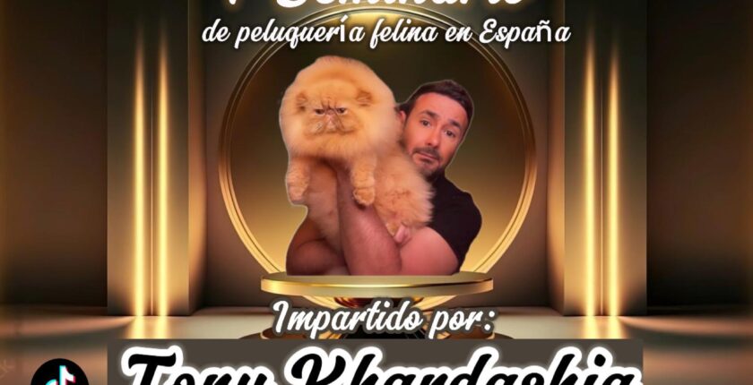 seminario gatos peluquería felina