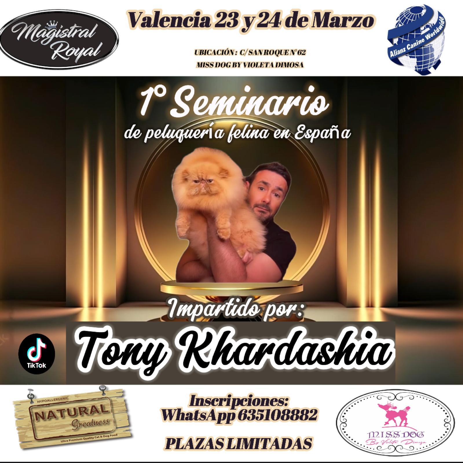seminario gatos peluquería felina