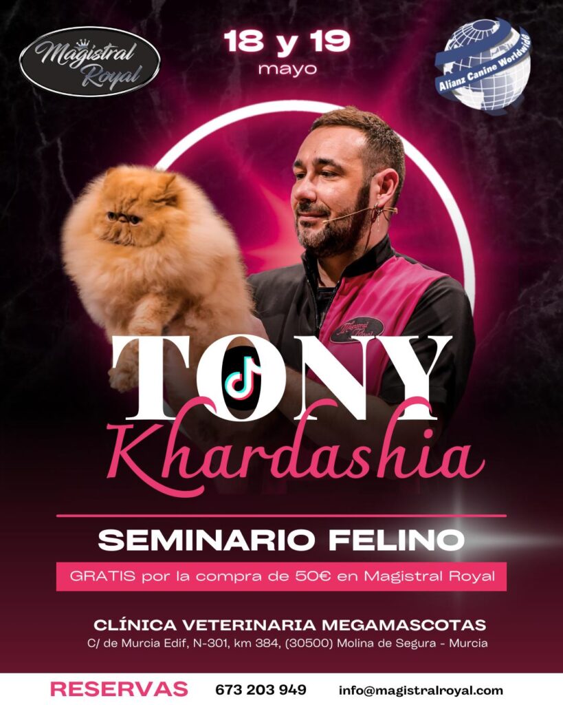 seminario felino seminario peluquería felina