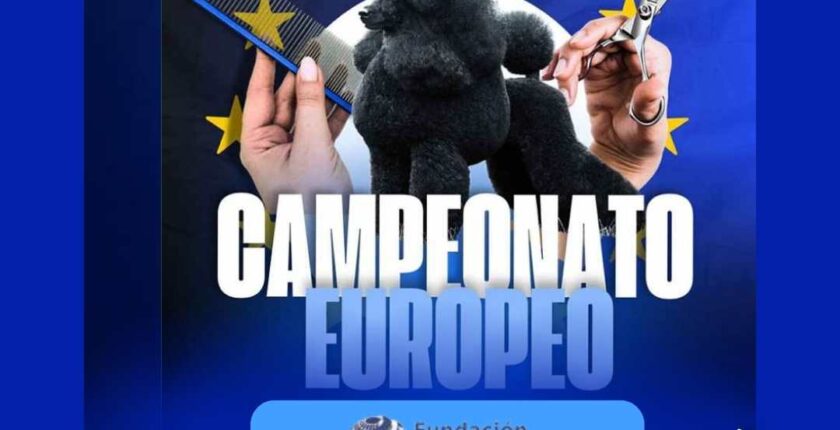 resultados podiums campeoanto europeo peluqueria canina 2024