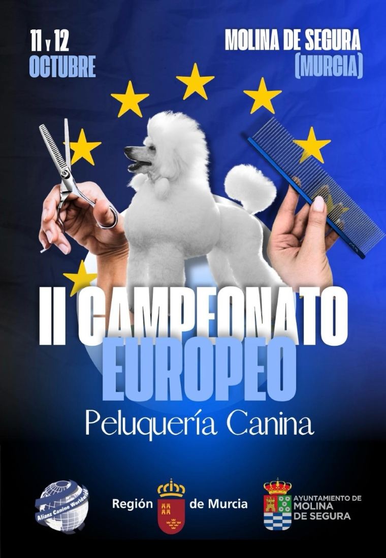 CARTEL redimensionado CARTEL redimensionado