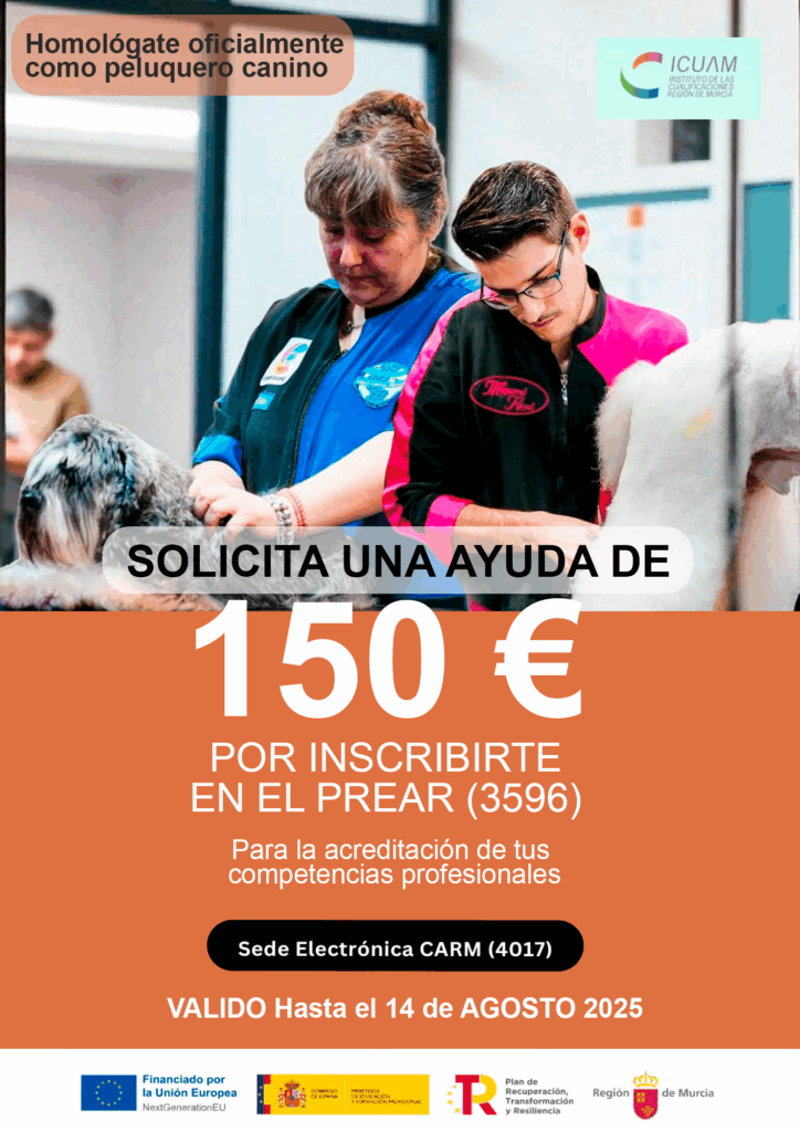 Tu talento vale: inscríbete en el PREAR y accede a ayudas