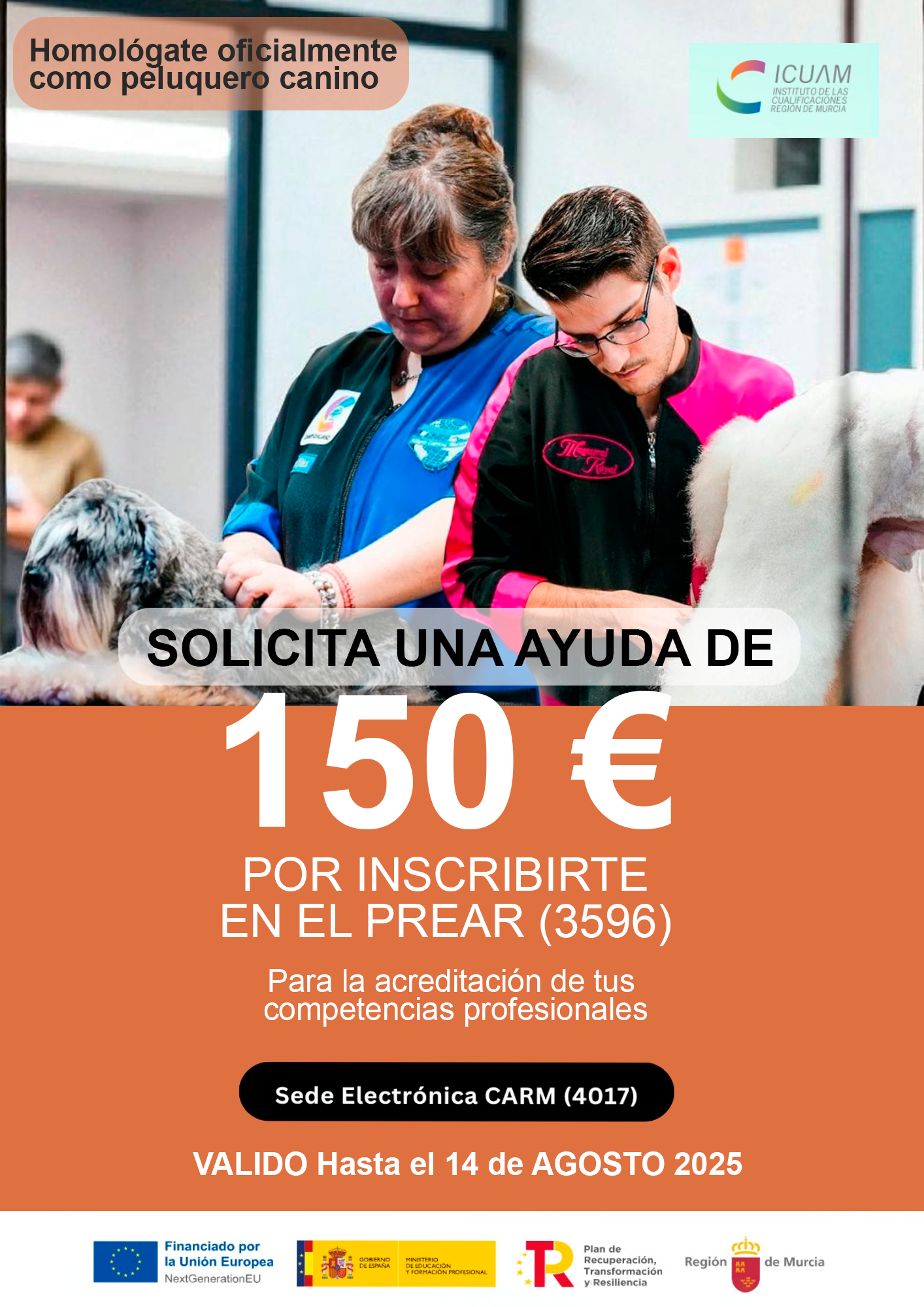 Ayudas PREAR-finish