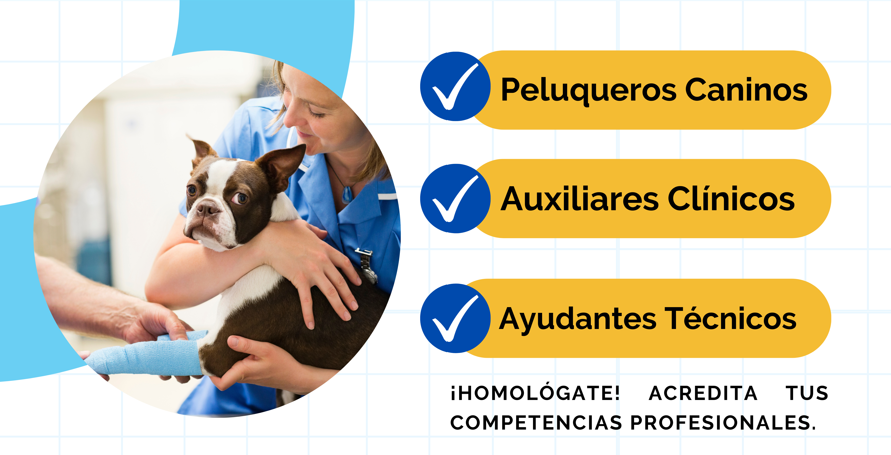 ¡HOMOLÓGATE YA!