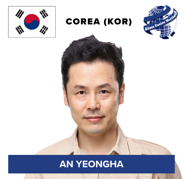 JUEZ DE COREA