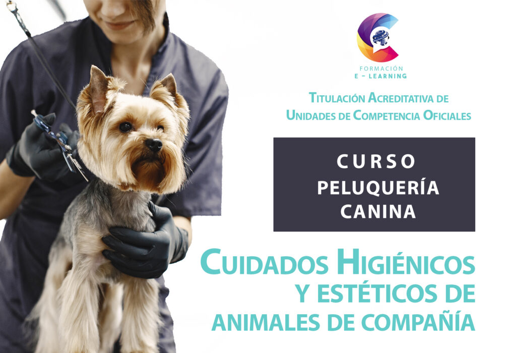 portada curso plantilla pelu