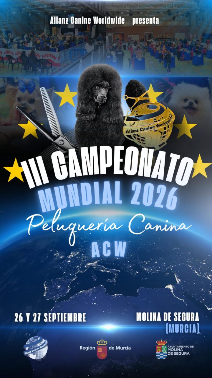 CARTEL MUNDIAL 2026 CARTEL MUNDIAL 2026