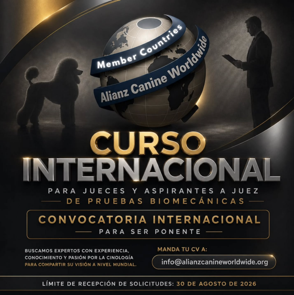 CURSO INTERNACIONAL PARA JUECES Y ASPIRANTES