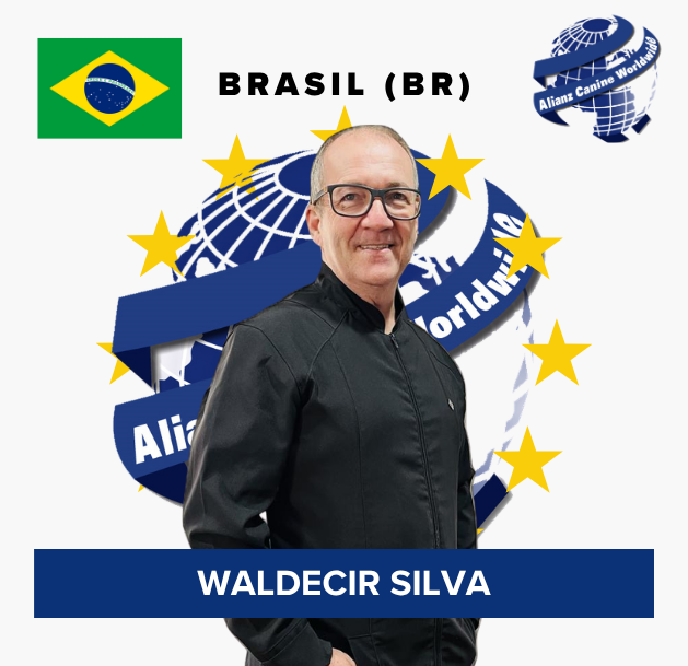 Waldecir Silva
