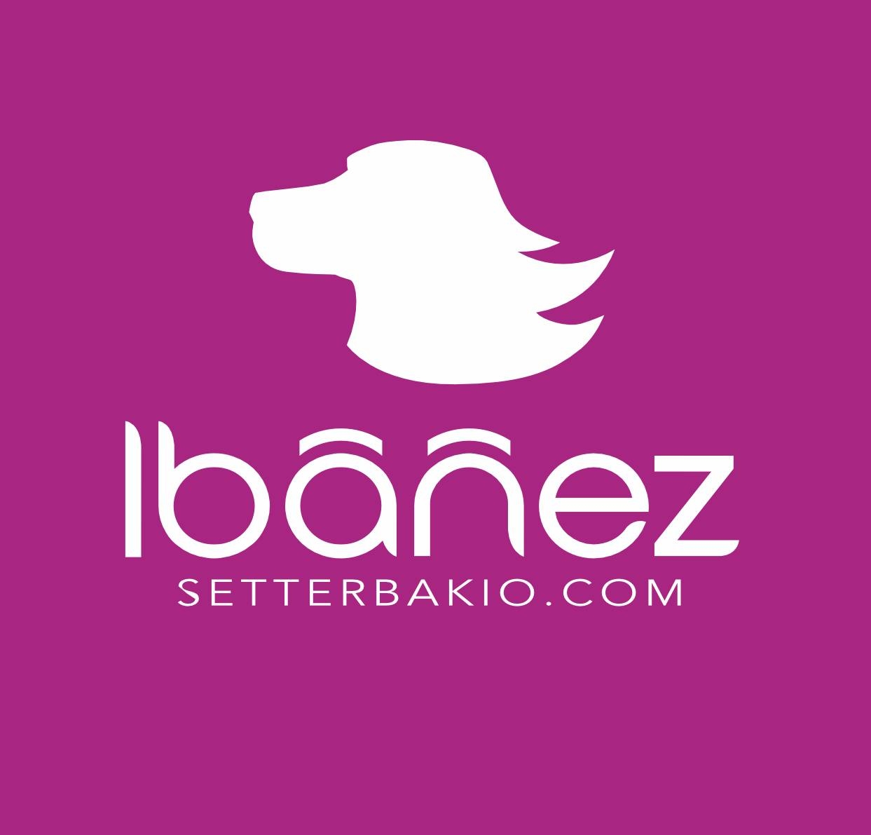 Ibáñez Setterbakio
