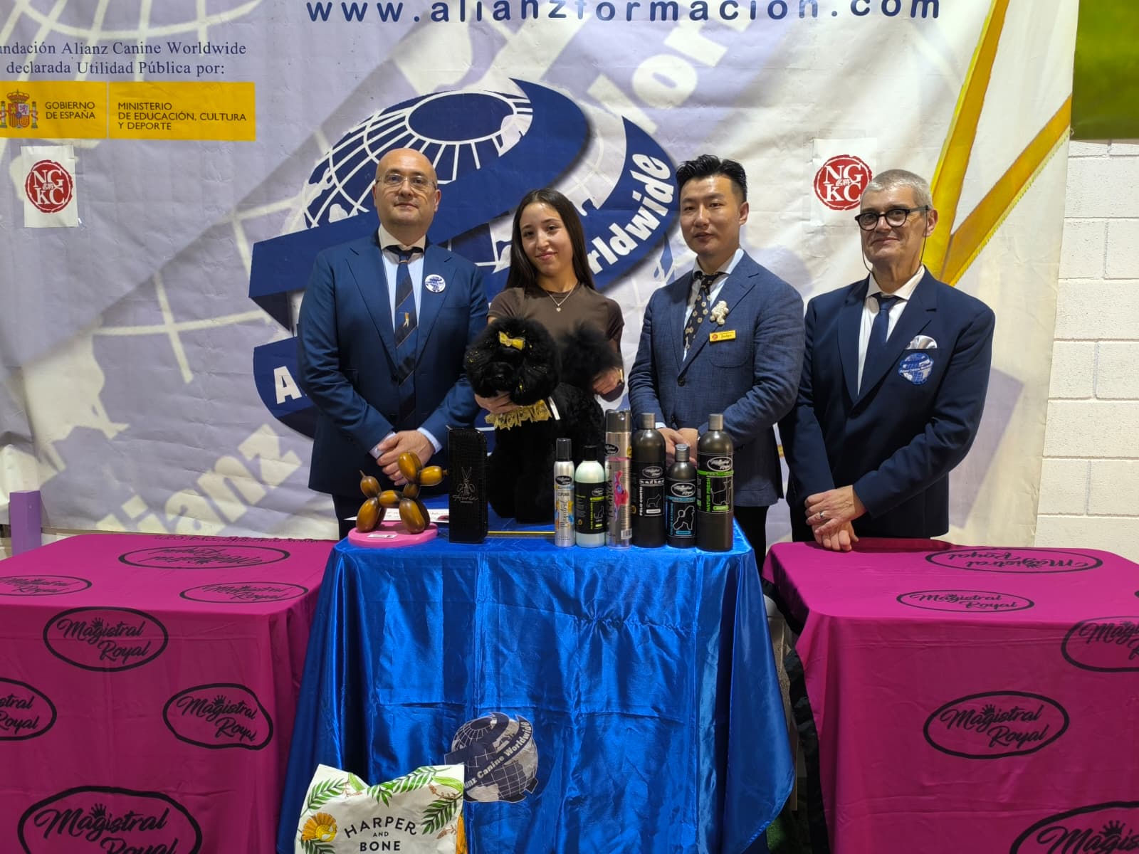 BIS Categorías Comerciales