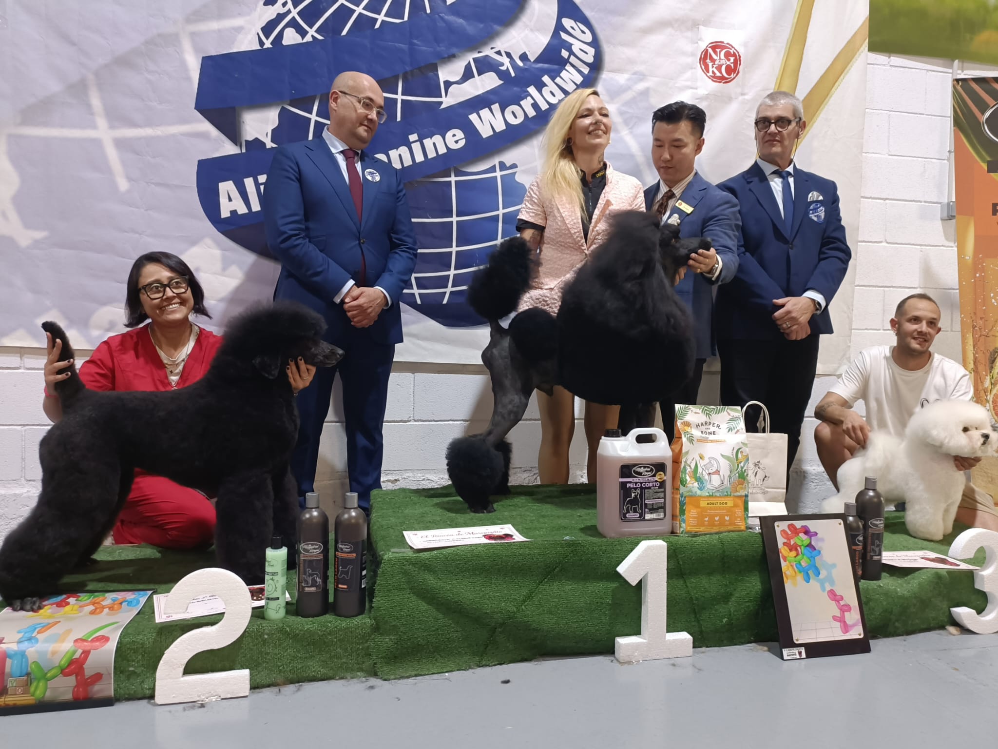 Podium Intermedia