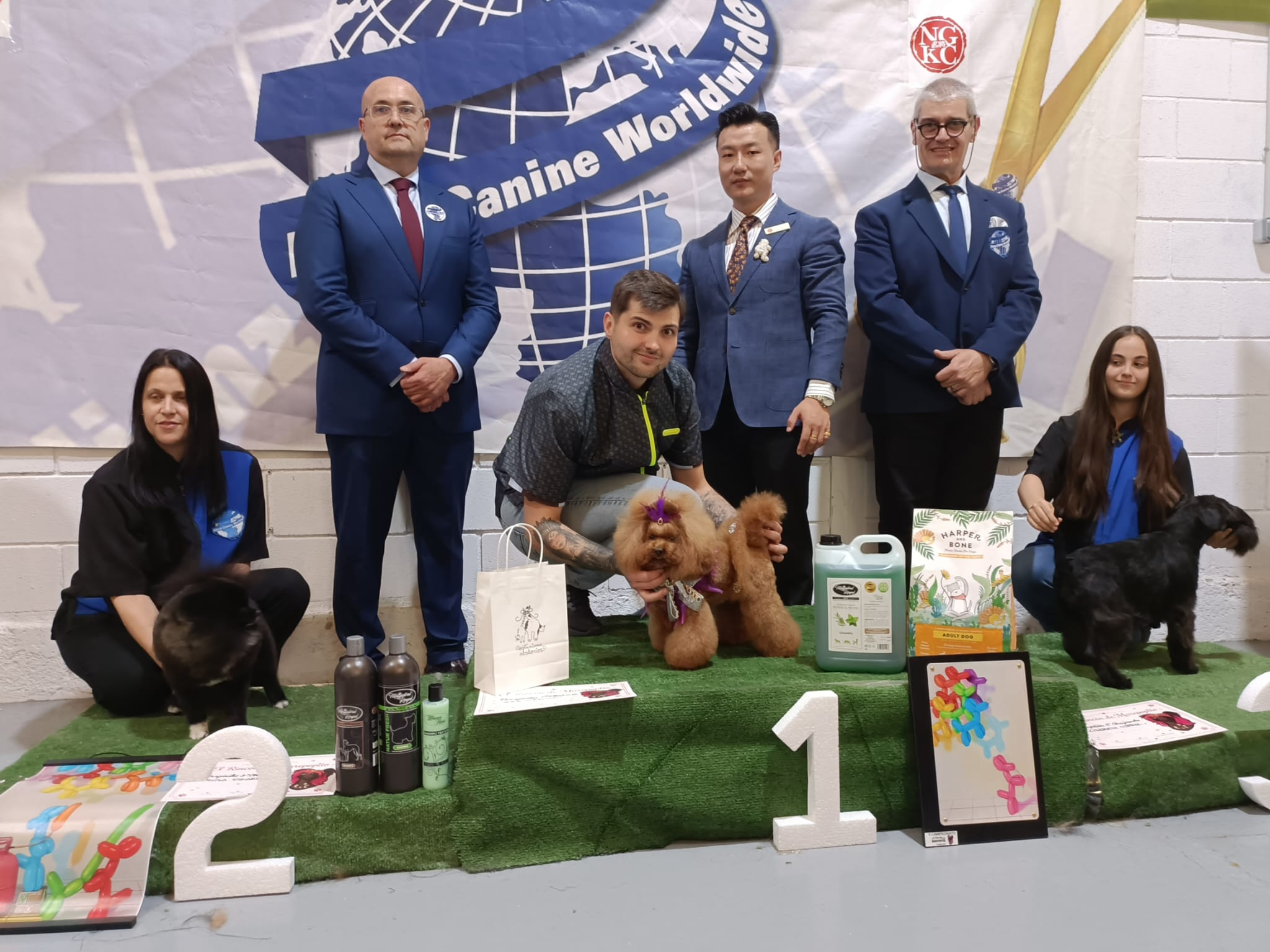 Podium Principiantes