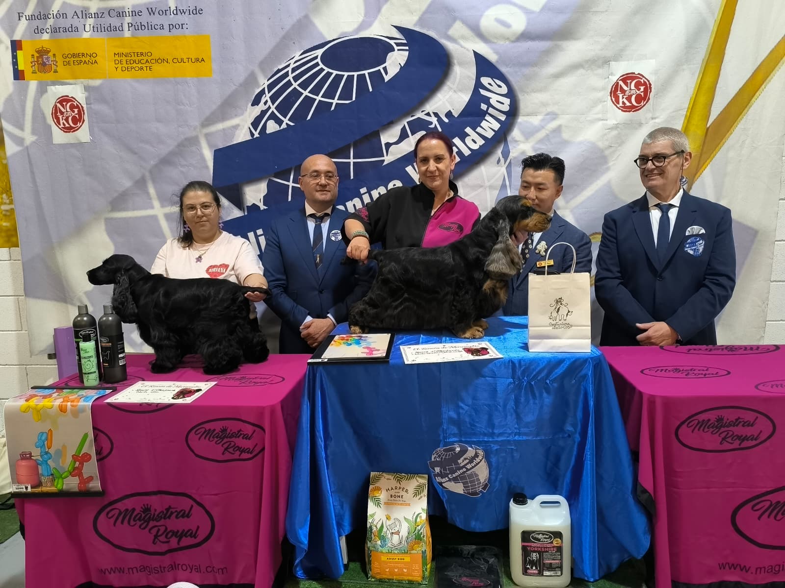 Podium Spaniel's