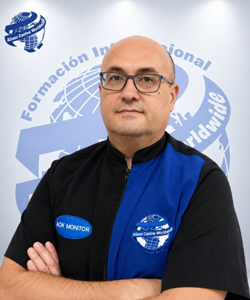 Juan José Fernández